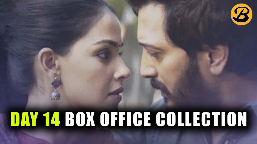Ved Day 14 Box Office Collection 
