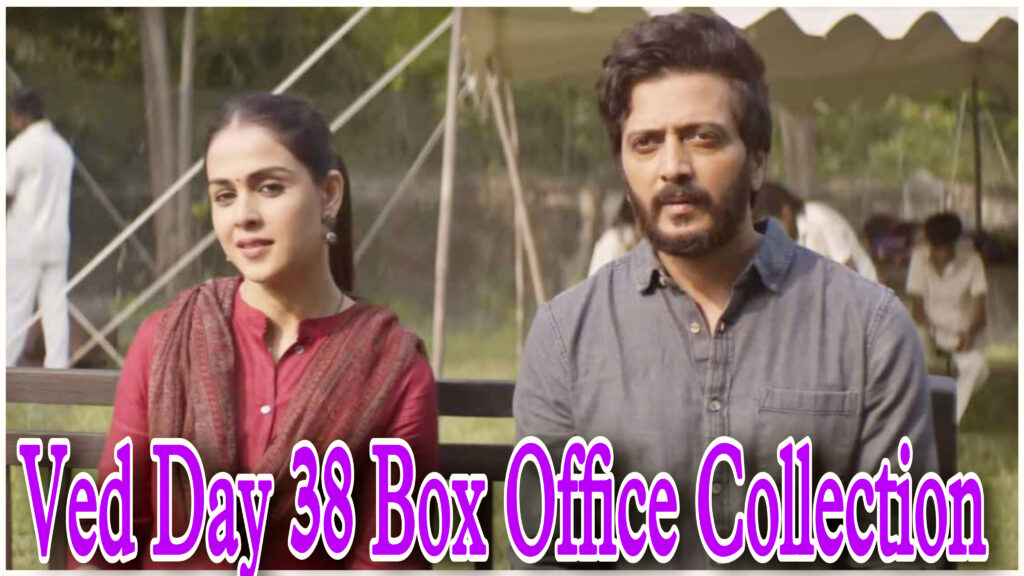 Ved Day 38 Box Office Collection