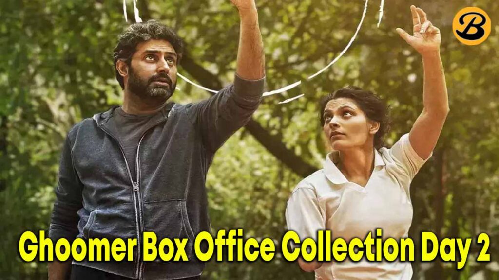 Ghoomer Box Office Collection Day 2