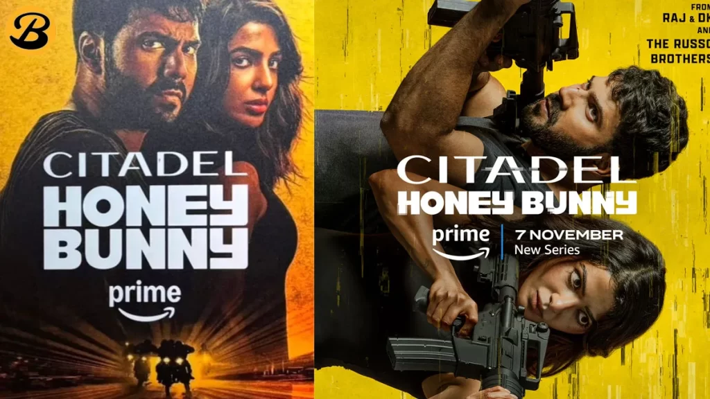 Citadel Honey Bunny TV Series (2024)