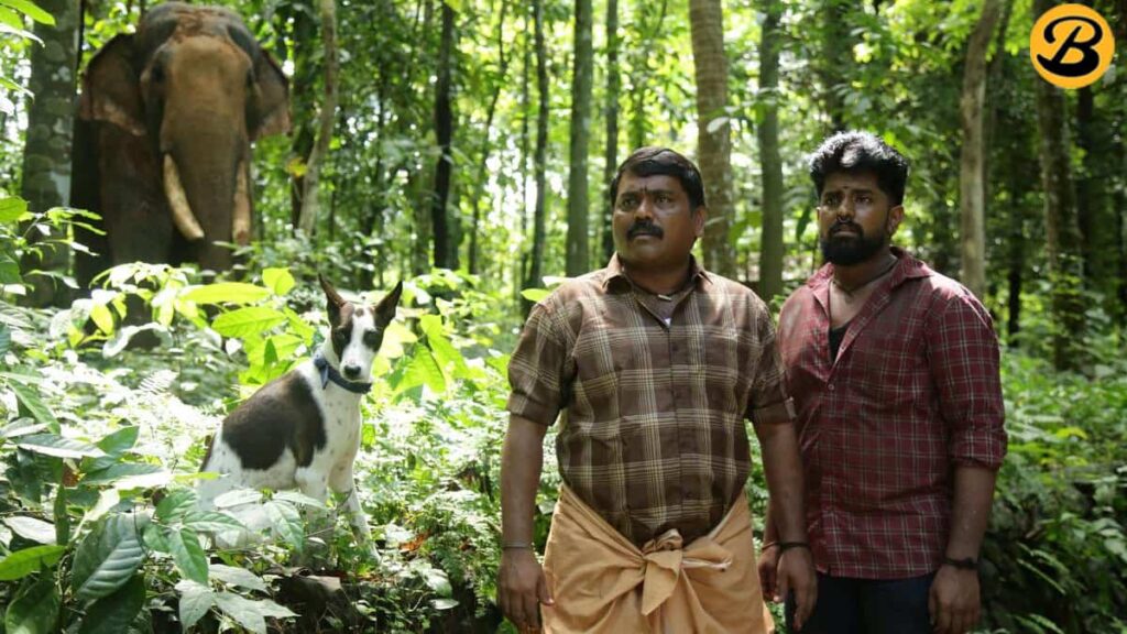 Where to watch Tamil action thriller Alangu